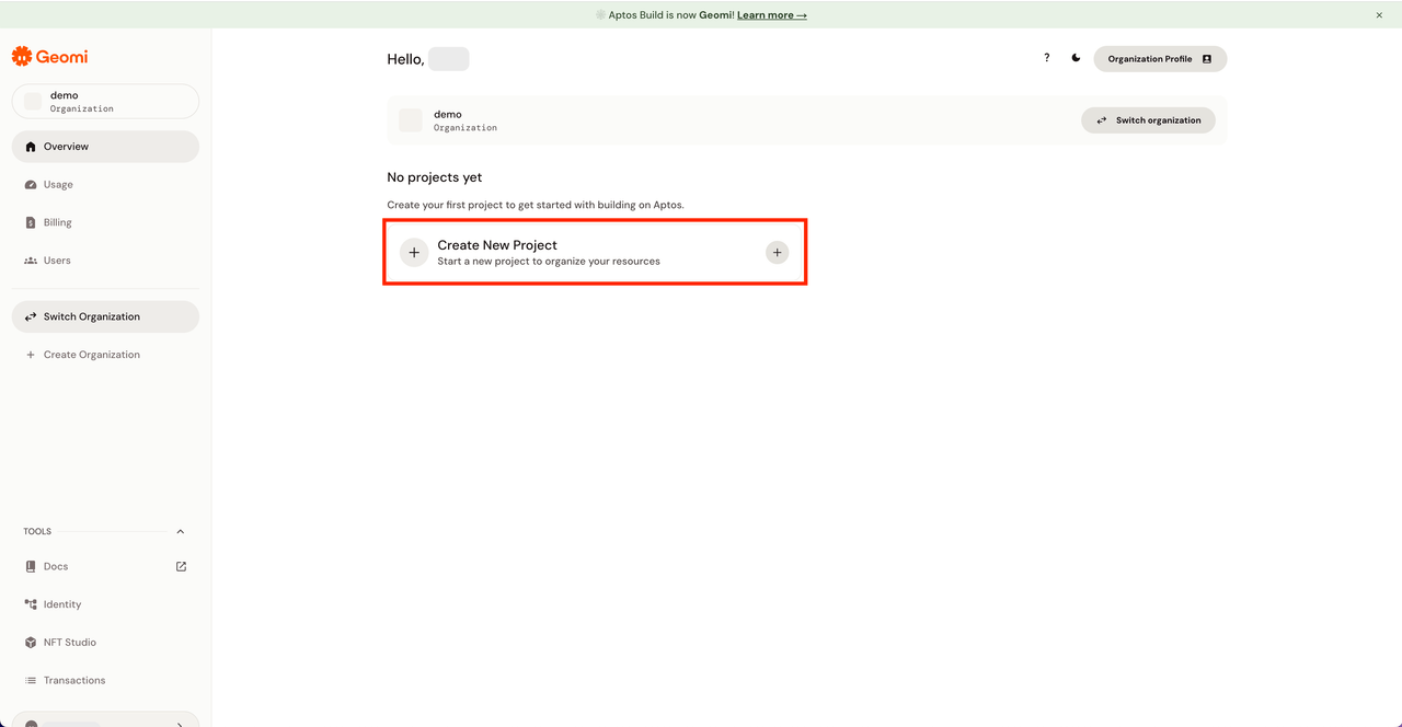Geomi API key creation 1
